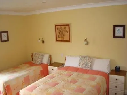 Guest house O'Grady'S Townhouse Bed & Breakfast Waterville