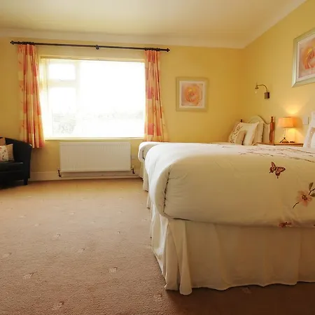 Guest house O'Grady'S Townhouse Bed & Breakfast Waterville