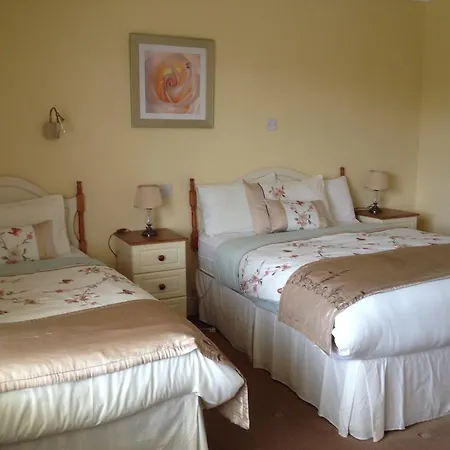 Guest house O'Grady'S Townhouse Bed & Breakfast Waterville
